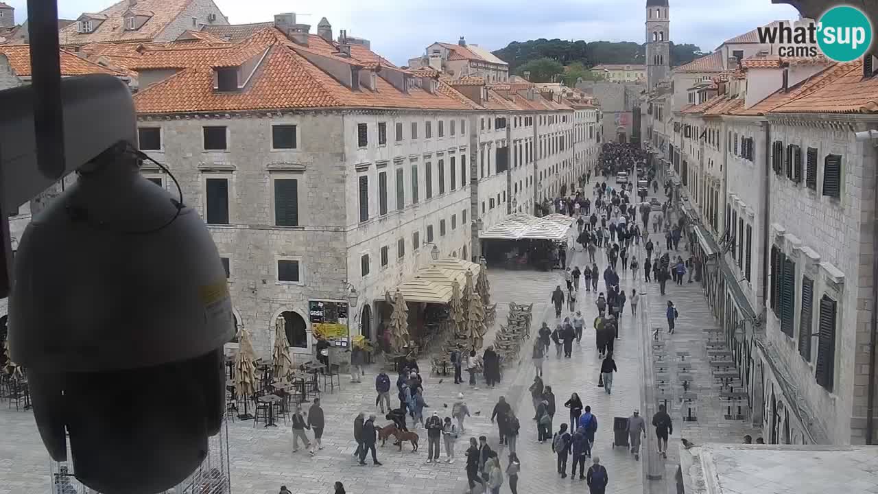 Live Webcam Dubrovnik Stradun