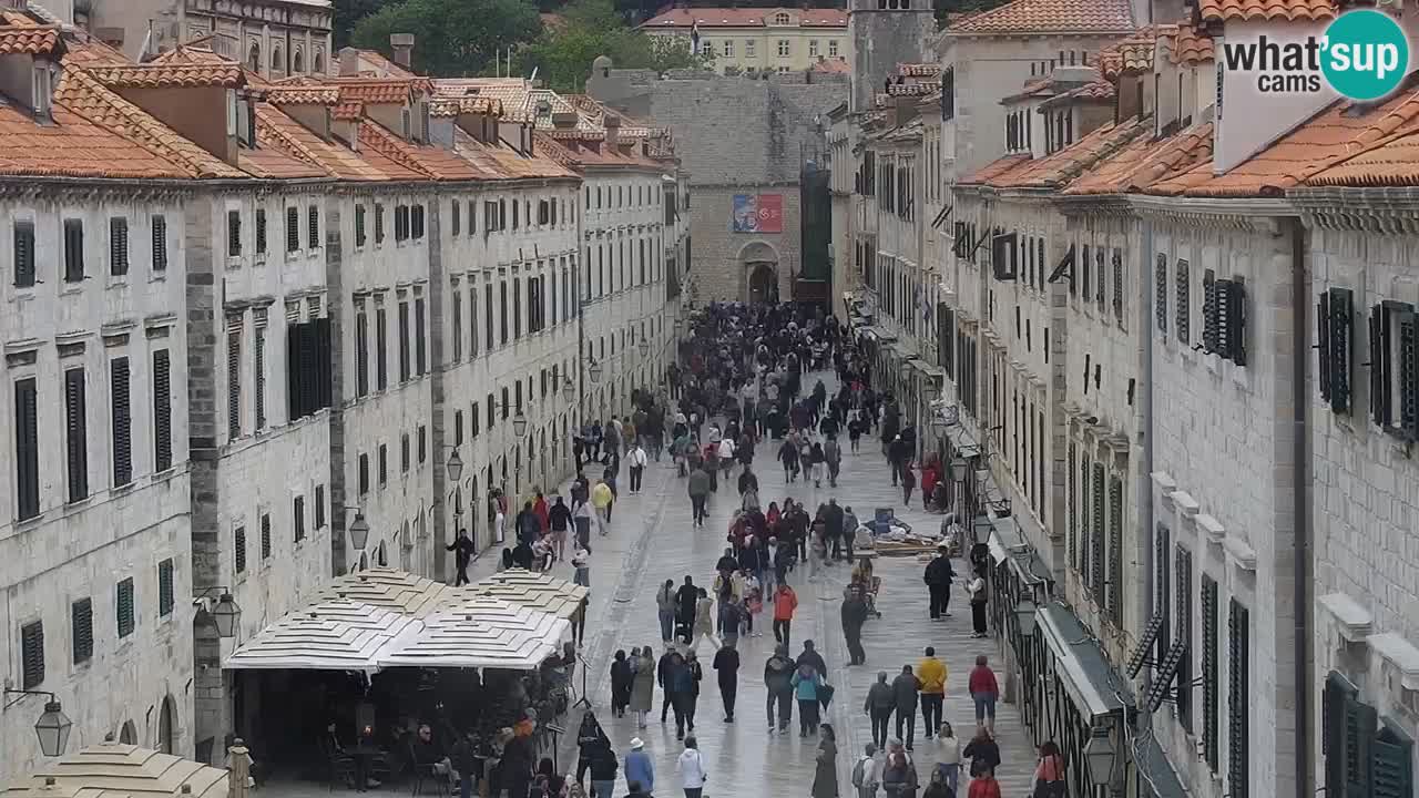 Live Webcam Dubrovnik Stradun