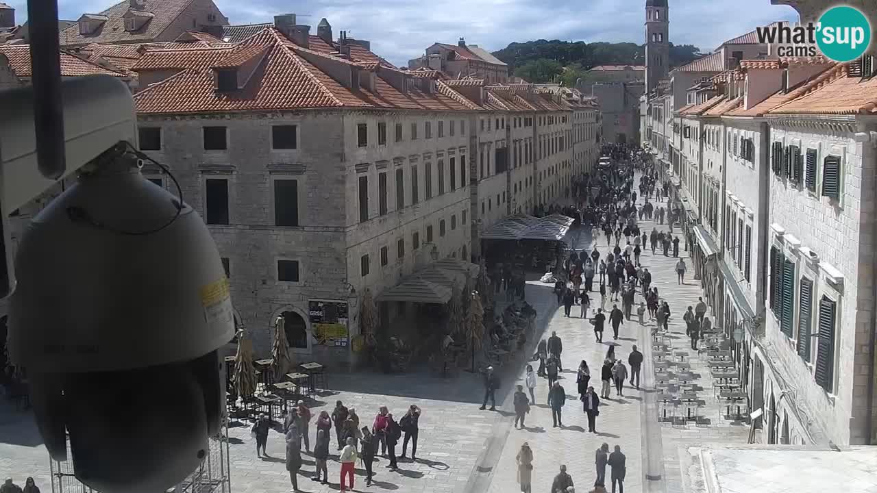 Live Webcam Dubrovnik Stradun