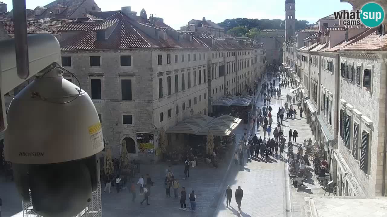 Livecam Dubrovnik Stradun