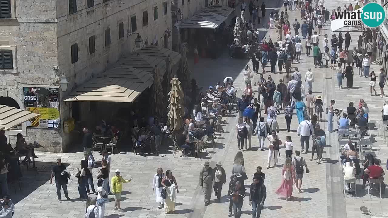 Livecam Dubrovnik Stradun