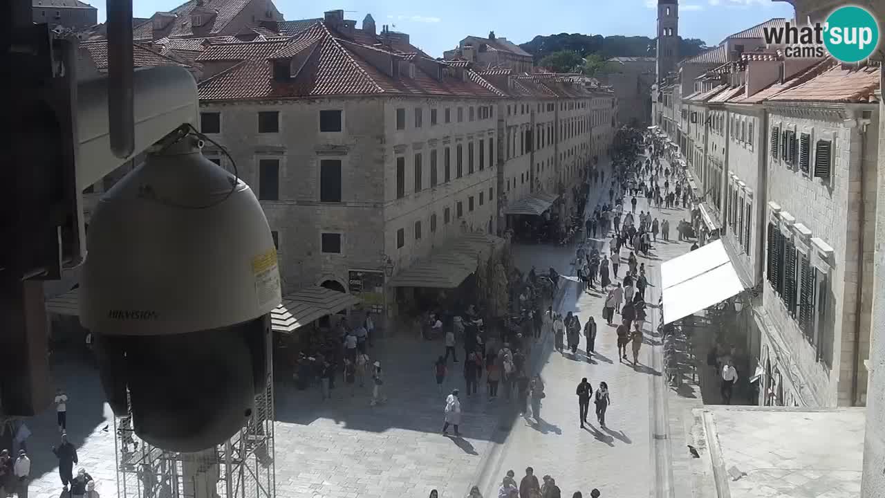 Livecam Dubrovnik Stradun