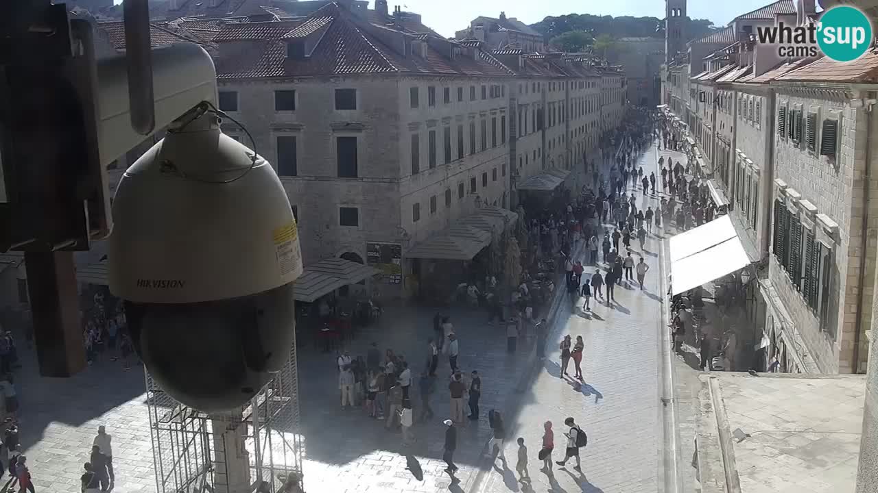 Livecam Dubrovnik Stradun