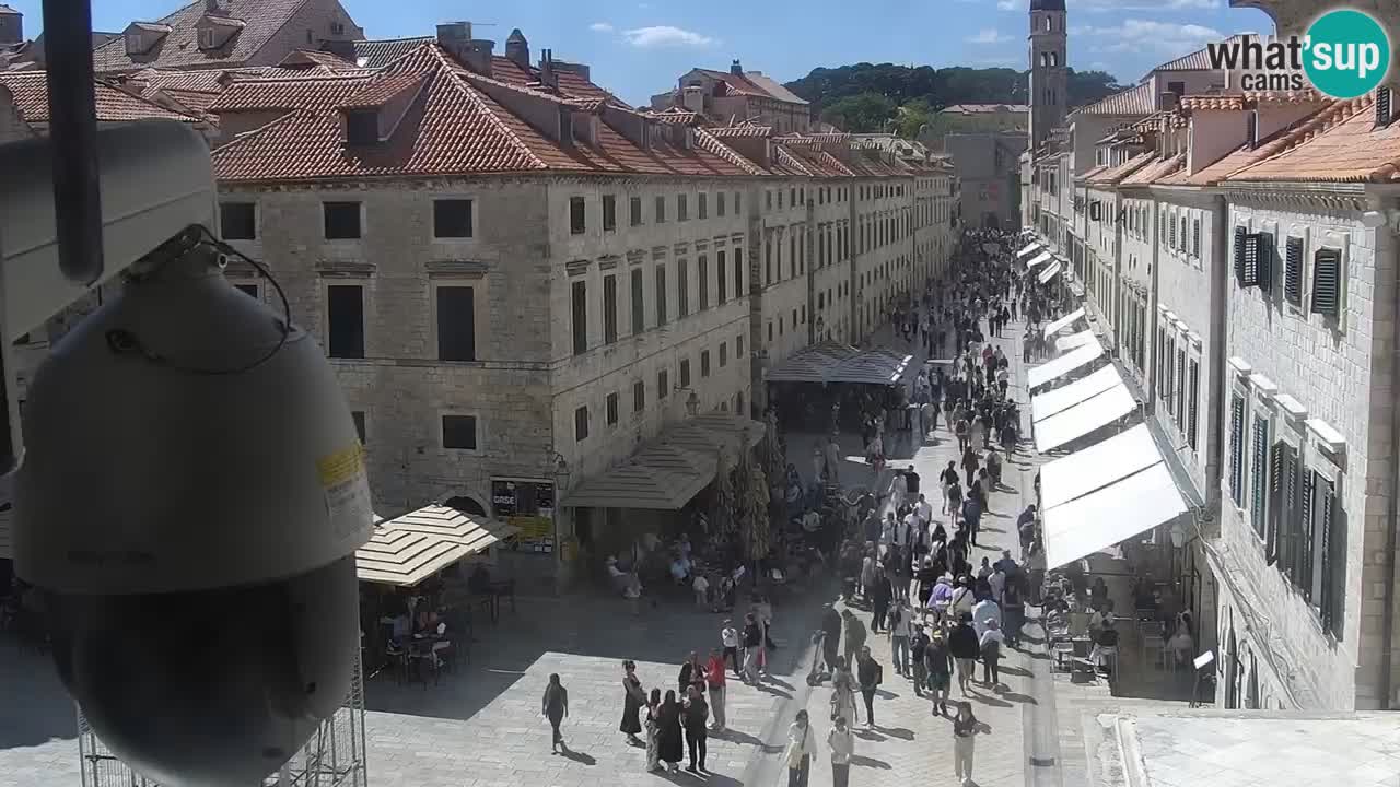 Camera en vivo Dubrovnik Stradun