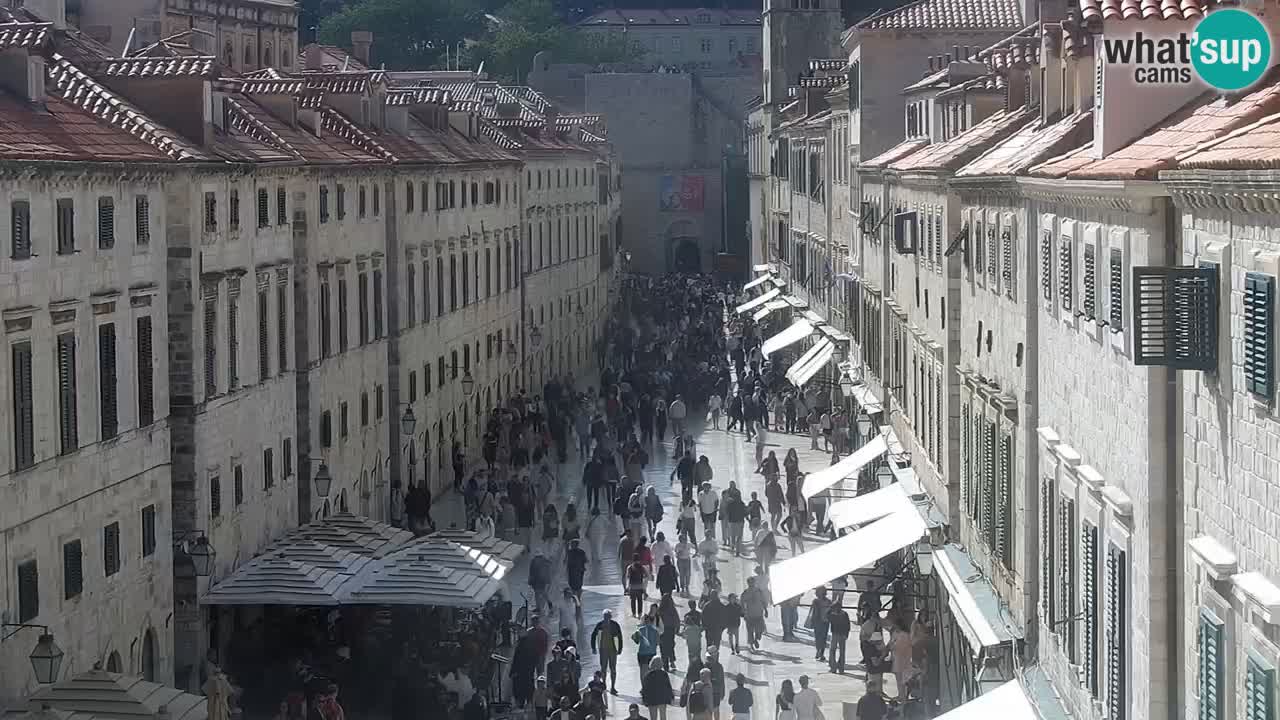 Camera en vivo Dubrovnik Stradun