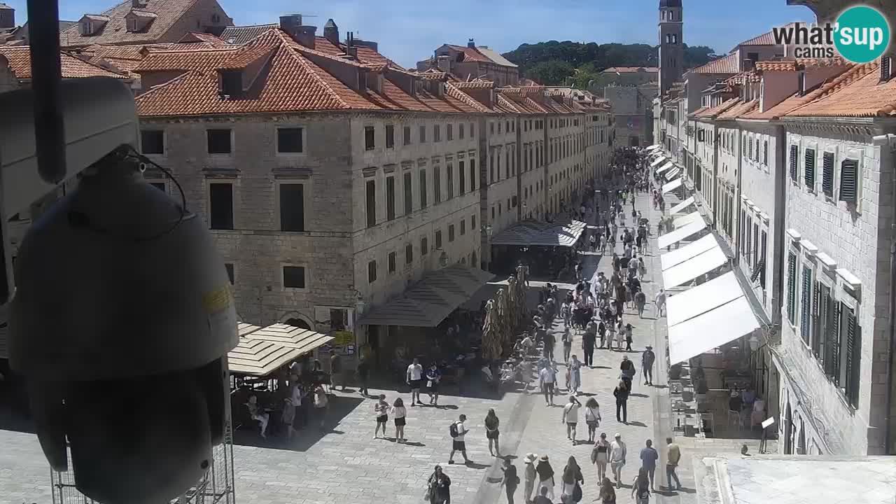 Livecam Dubrovnik Stradun