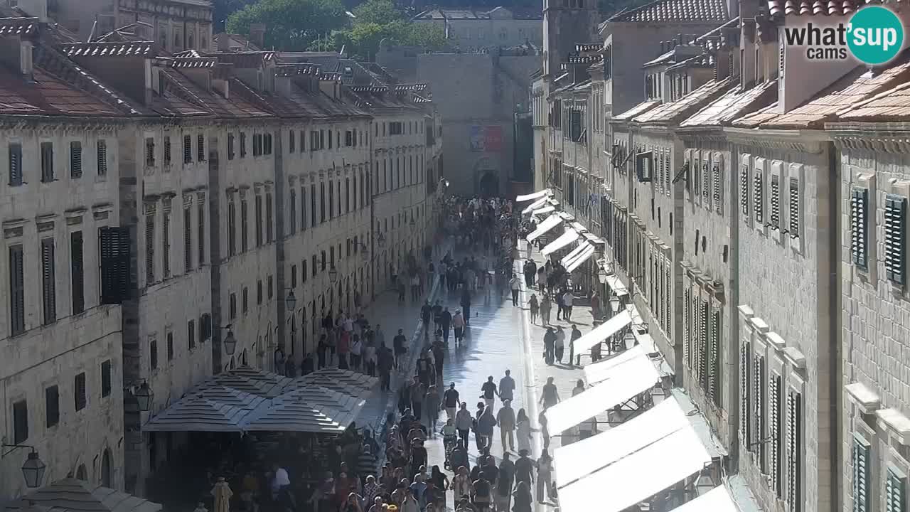 Livecam Dubrovnik Stradun