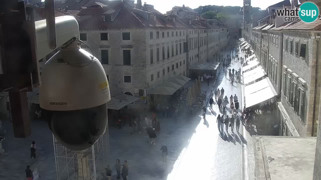 Live Webcam Dubrovnik Stradun