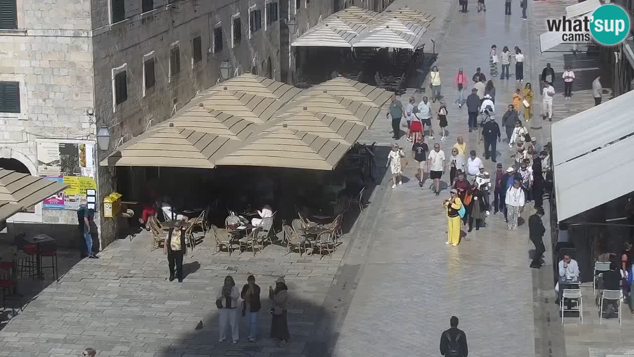 Livecam Dubrovnik Stradun