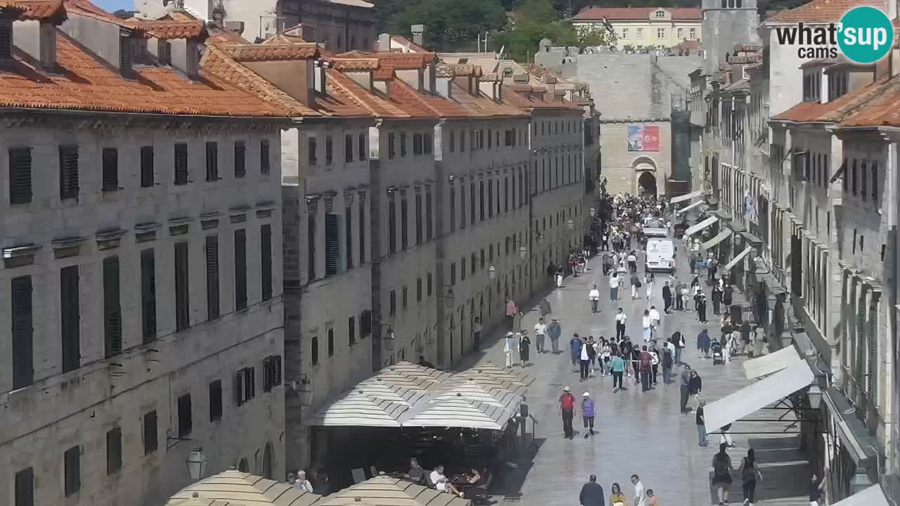 Livecam Dubrovnik Stradun