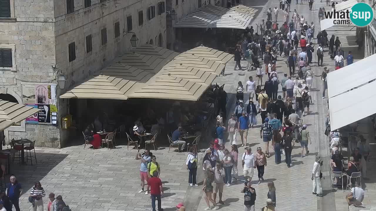 Live Webcam Dubrovnik Stradun