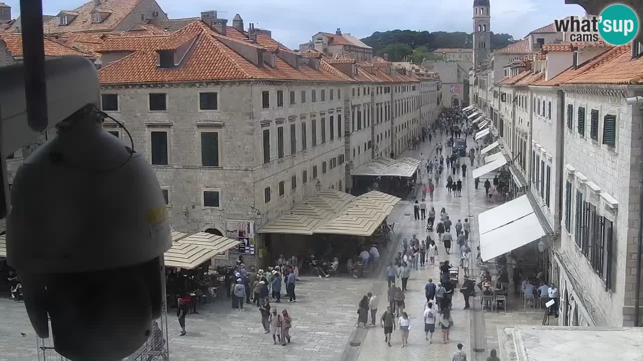 Livecam Dubrovnik Stradun