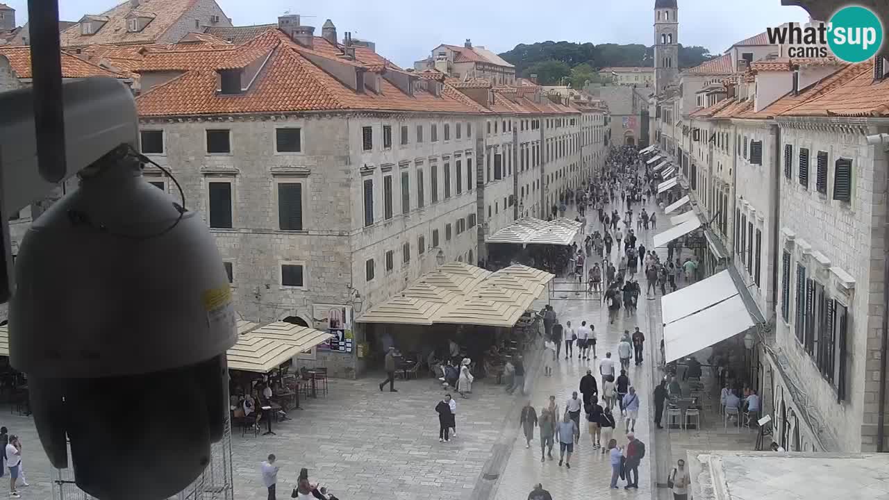 Livecam Dubrovnik Stradun