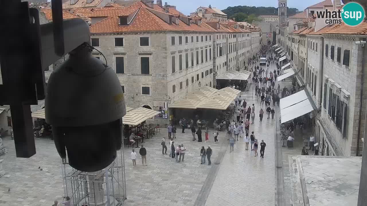 Webcam Ragusa (Dubrovnik) Stradun