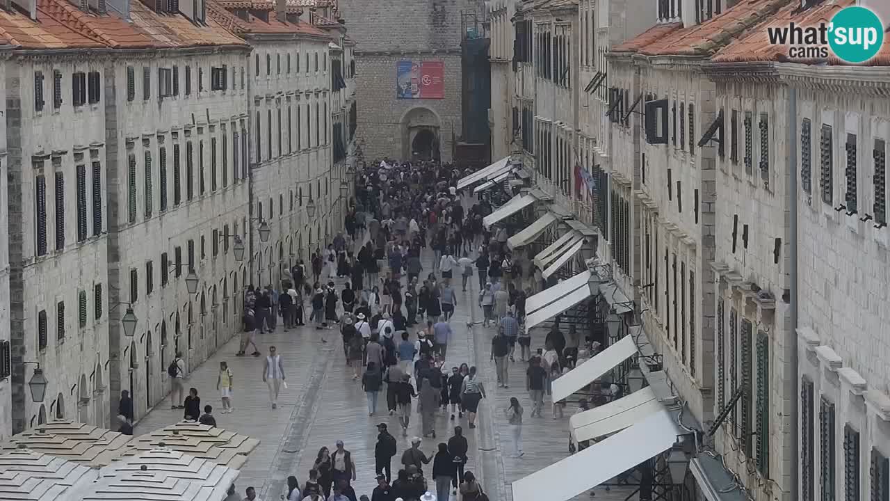 Live Webcam Dubrovnik Stradun