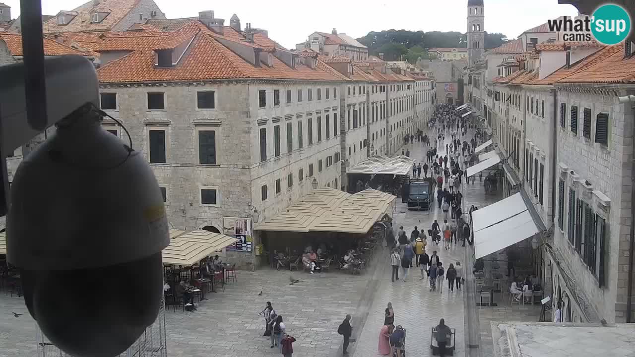 Camera en vivo Dubrovnik Stradun