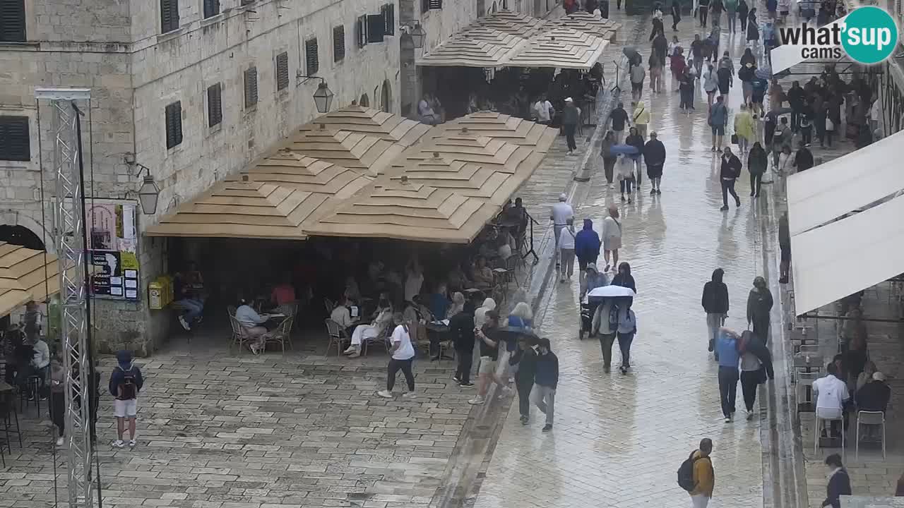 Live Webcam Dubrovnik Stradun
