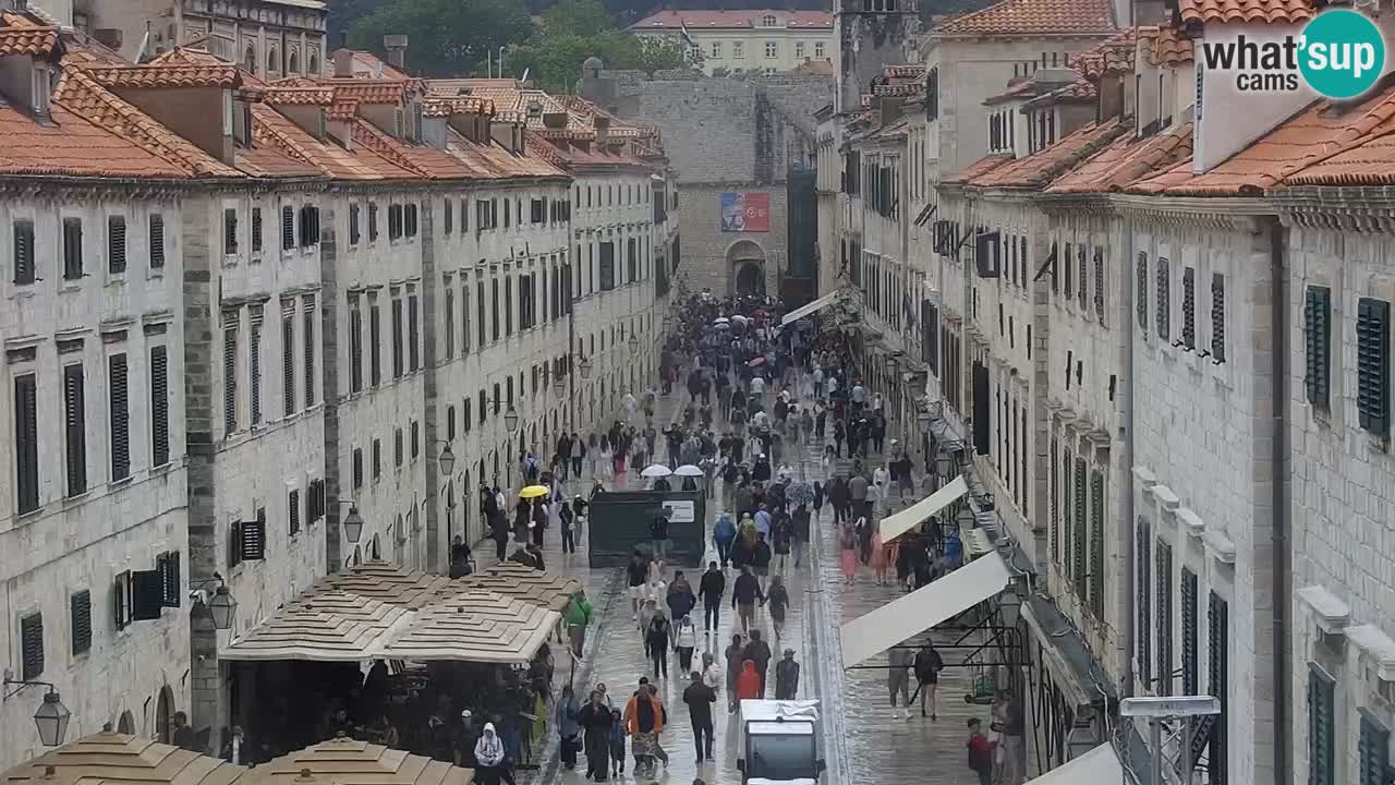 Livecam Dubrovnik Stradun