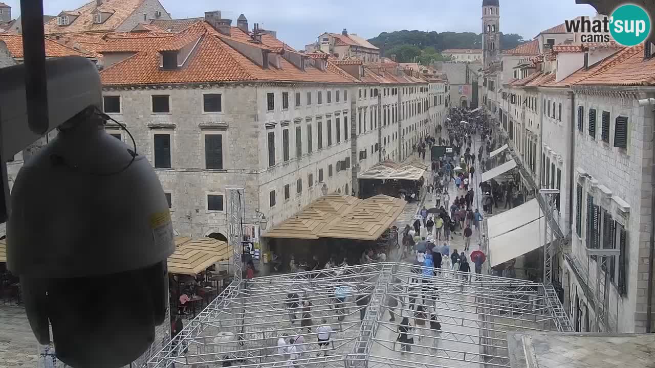 Camera en vivo Dubrovnik Stradun