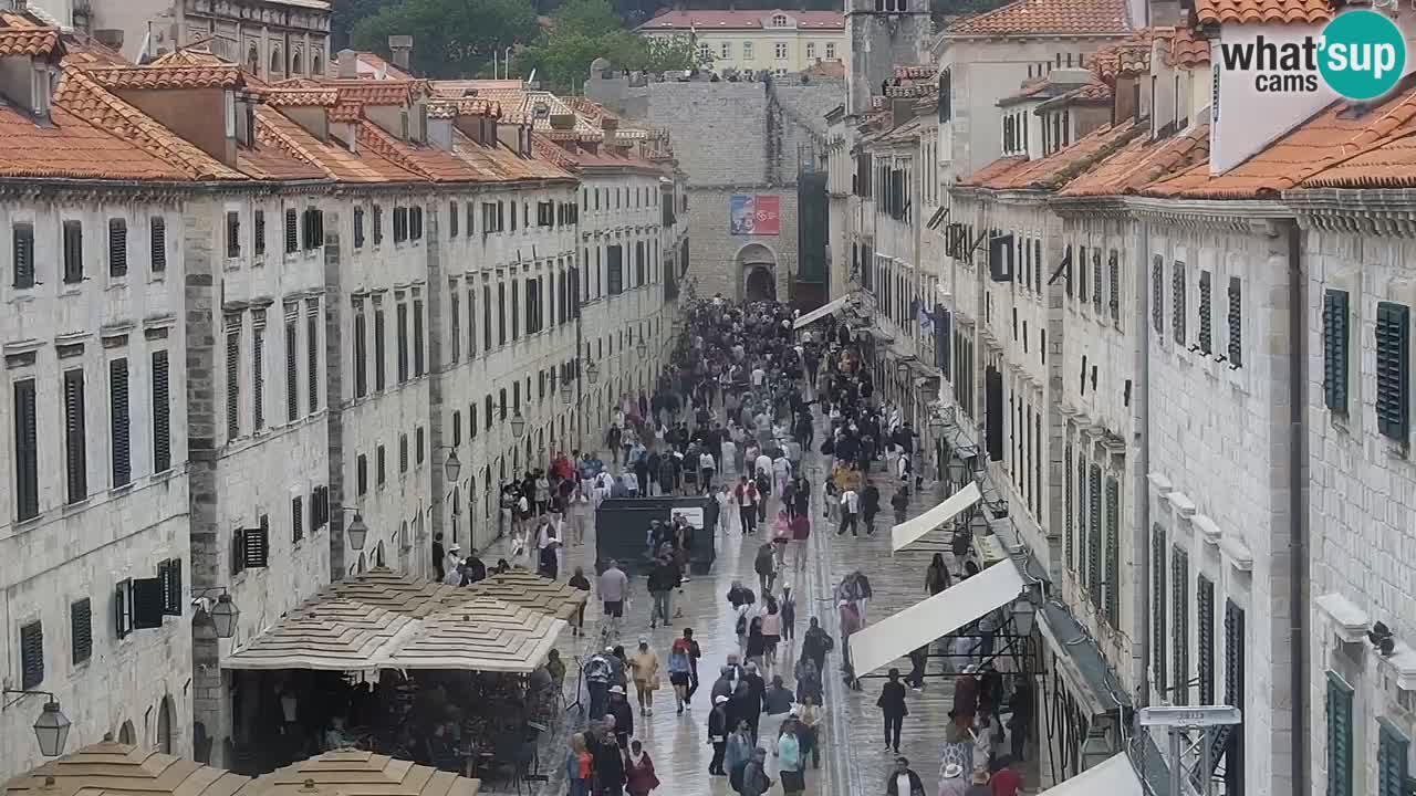 Camera en vivo Dubrovnik Stradun