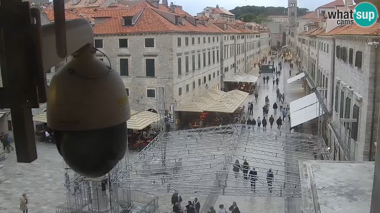 Live Webcam Dubrovnik Stradun