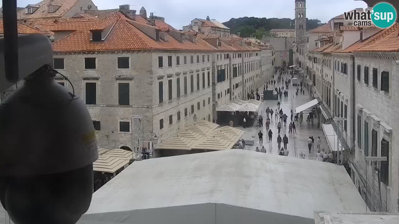 Livecam Dubrovnik Stradun