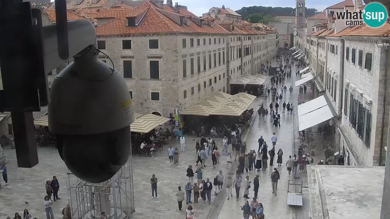 Livecam Dubrovnik Stradun