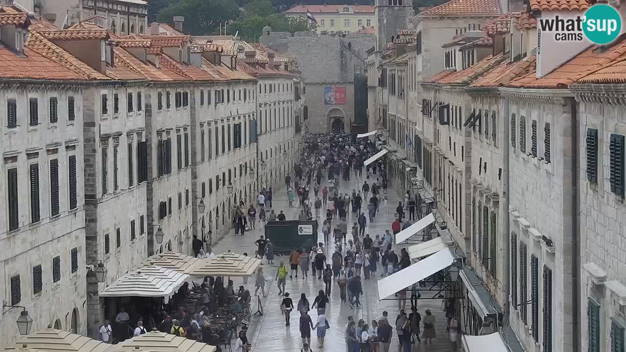 Live Webcam Dubrovnik Stradun