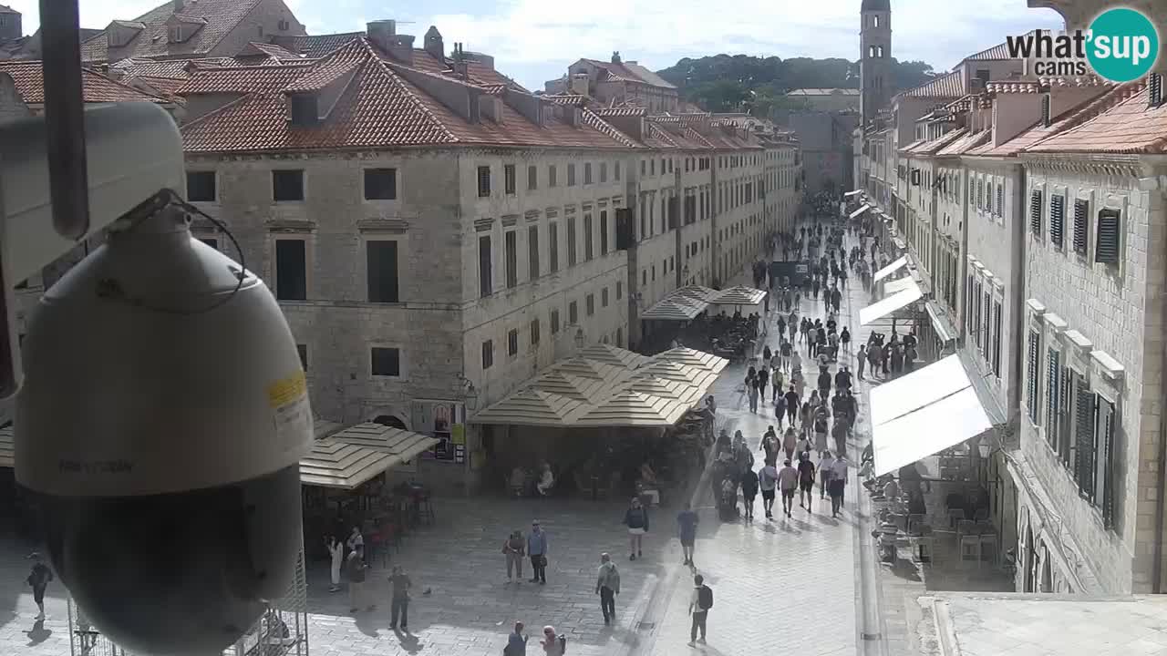 Livecam Dubrovnik Stradun
