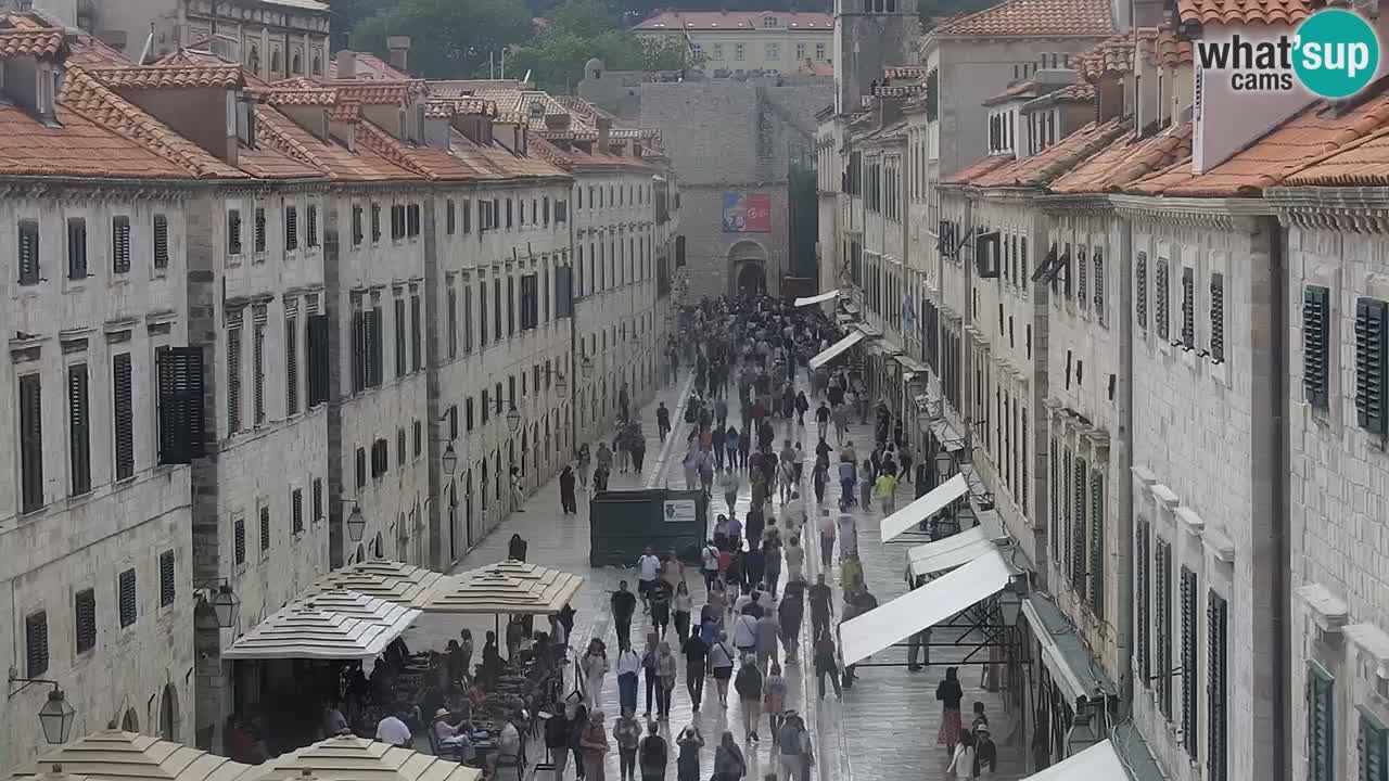 Livecam Dubrovnik Stradun