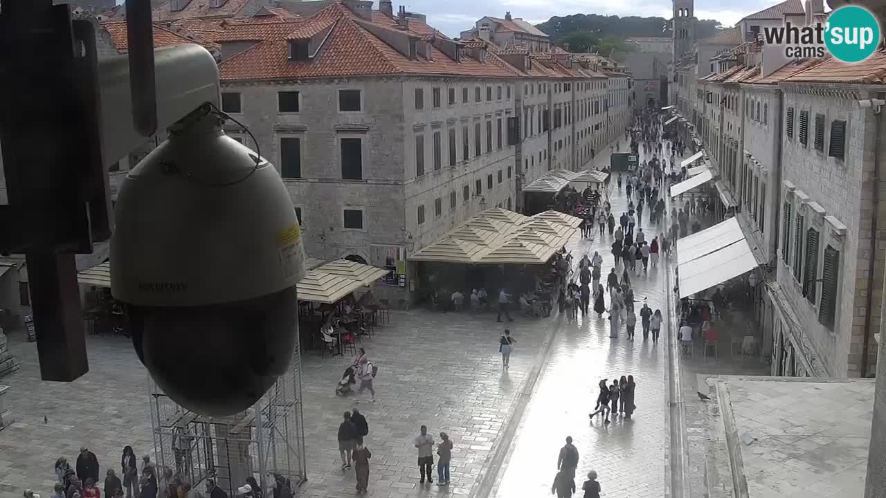 Camera en vivo Dubrovnik Stradun