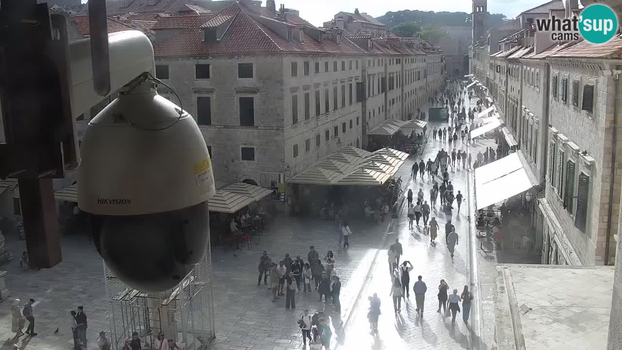 Livecam Dubrovnik Stradun