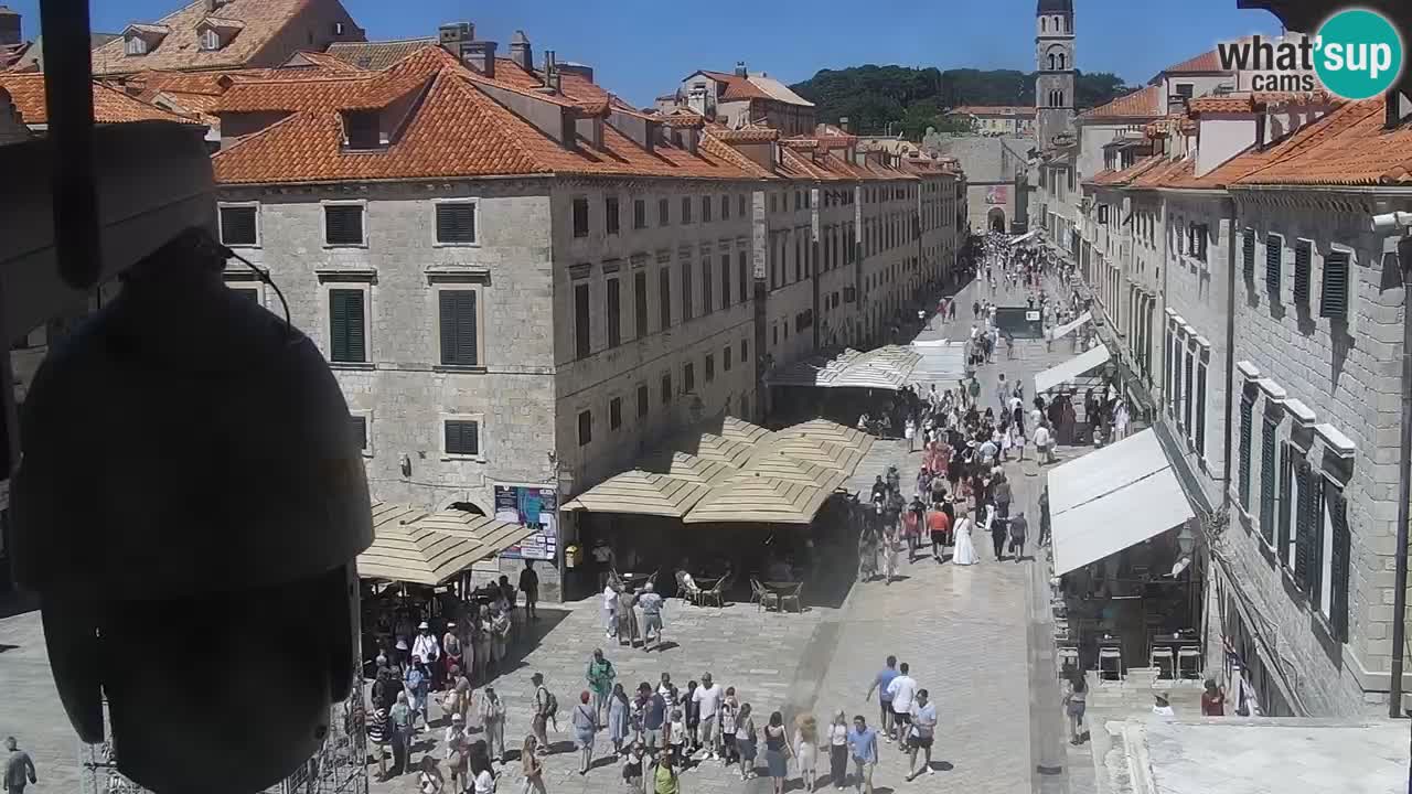 Live Webcam Dubrovnik Stradun