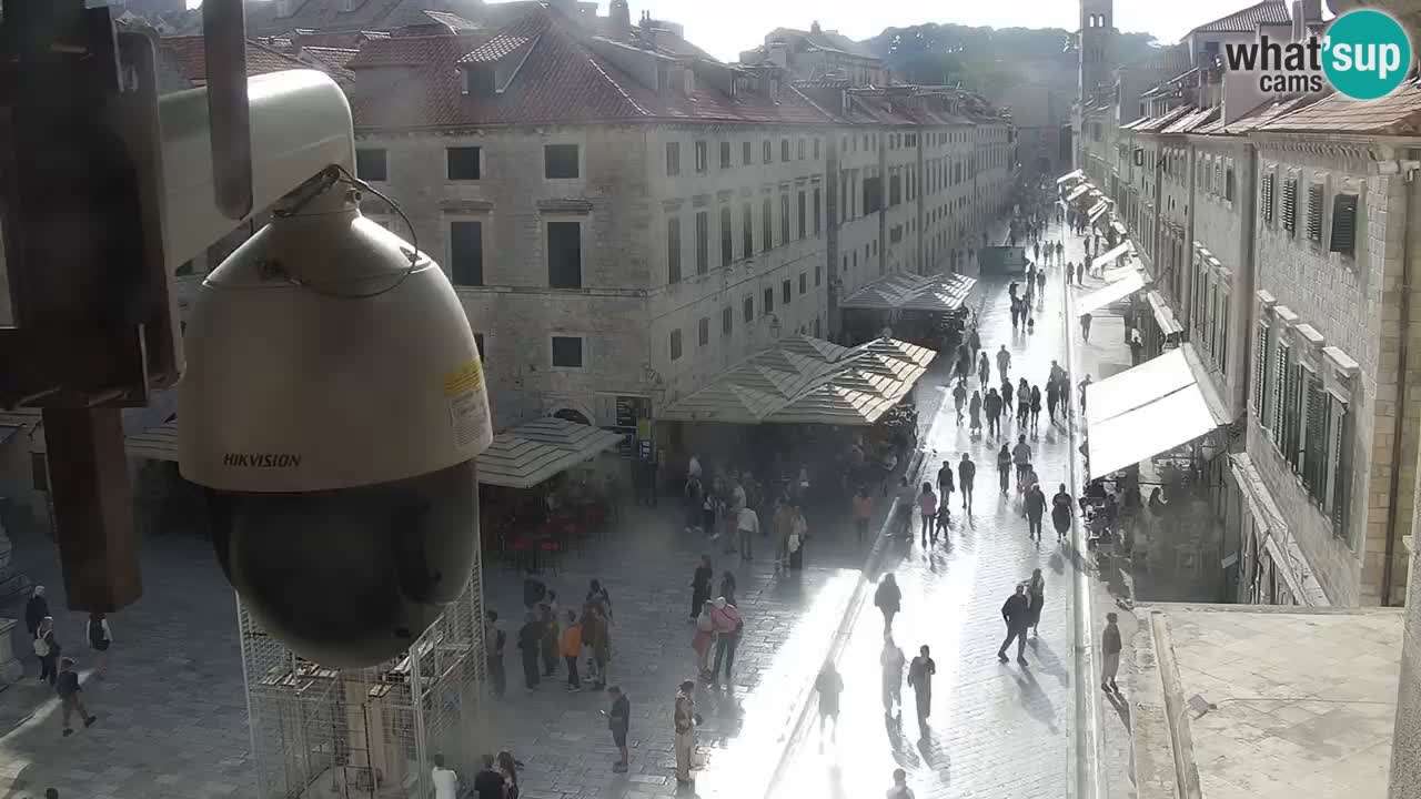 Live Webcam Dubrovnik Stradun