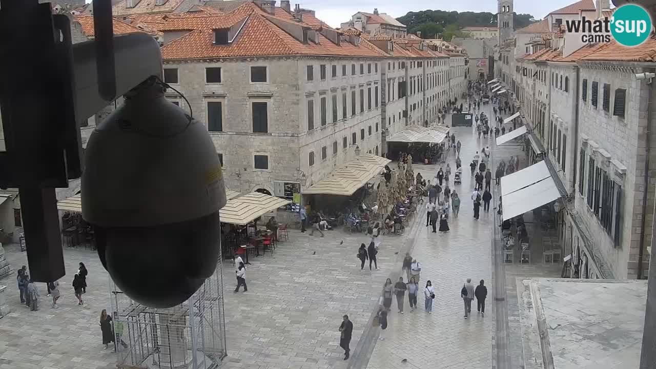 Live Webcam Dubrovnik Stradun