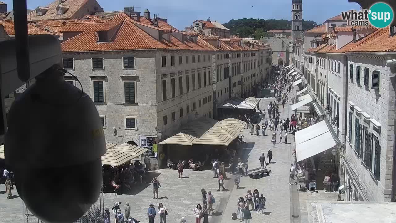 Live Webcam Dubrovnik Stradun