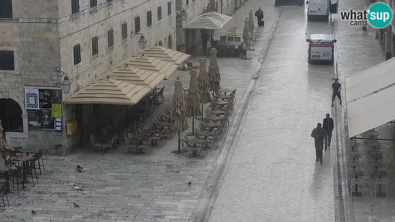 Live Webcam Dubrovnik Stradun