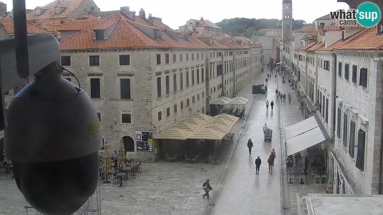 Live Webcam Dubrovnik Stradun