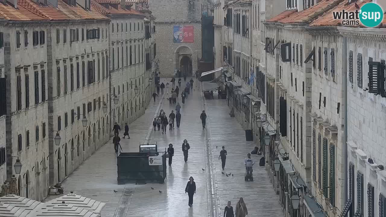 Livecam Dubrovnik Stradun