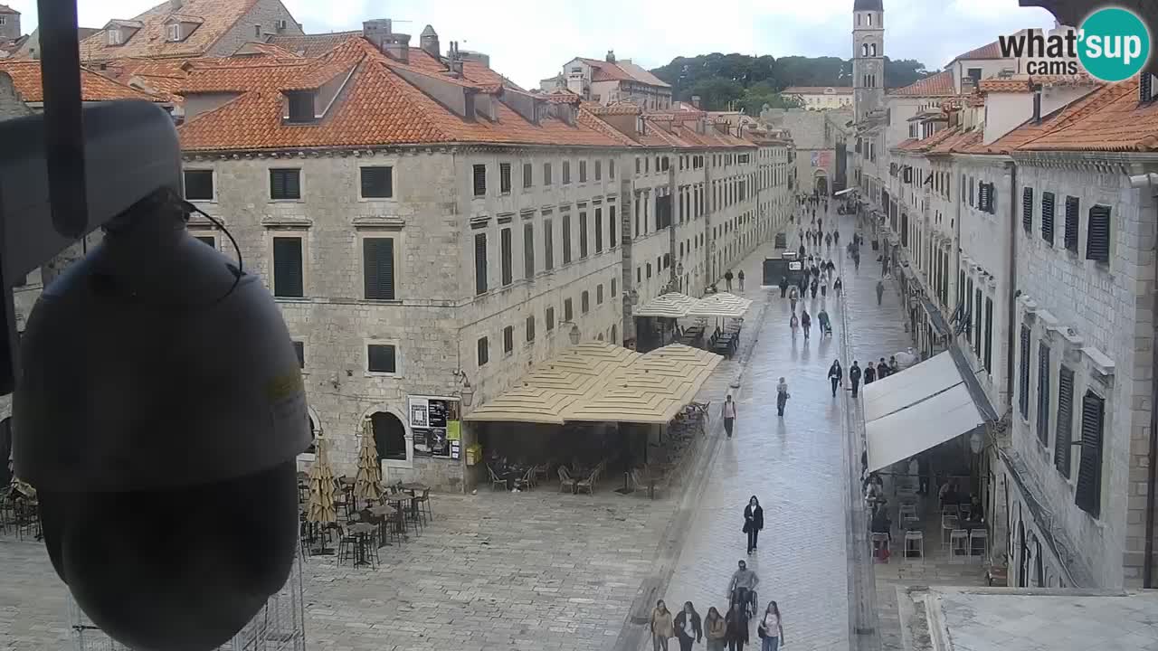 Livecam Dubrovnik Stradun
