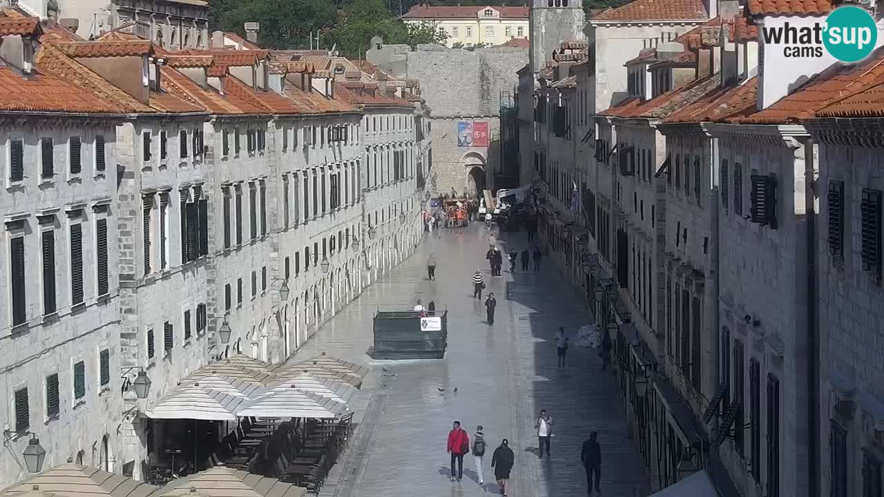 Live Webcam Dubrovnik Stradun