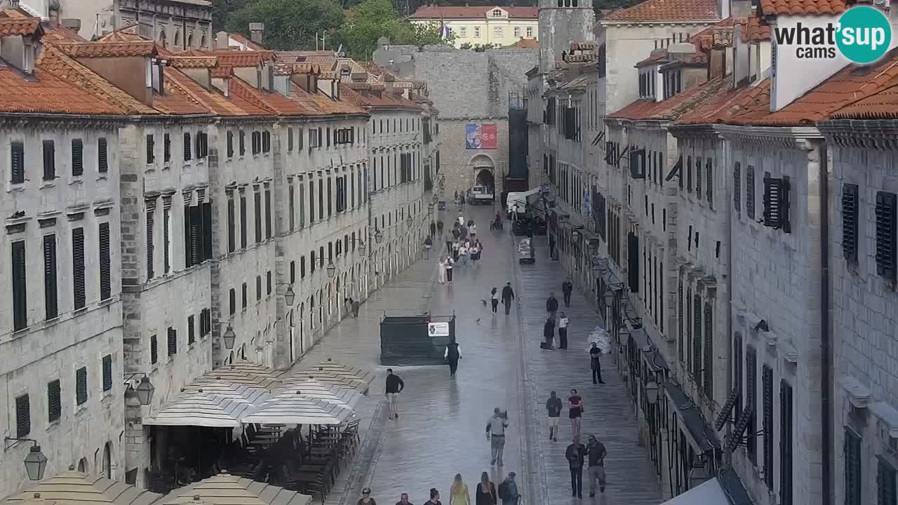 Livecam Dubrovnik Stradun
