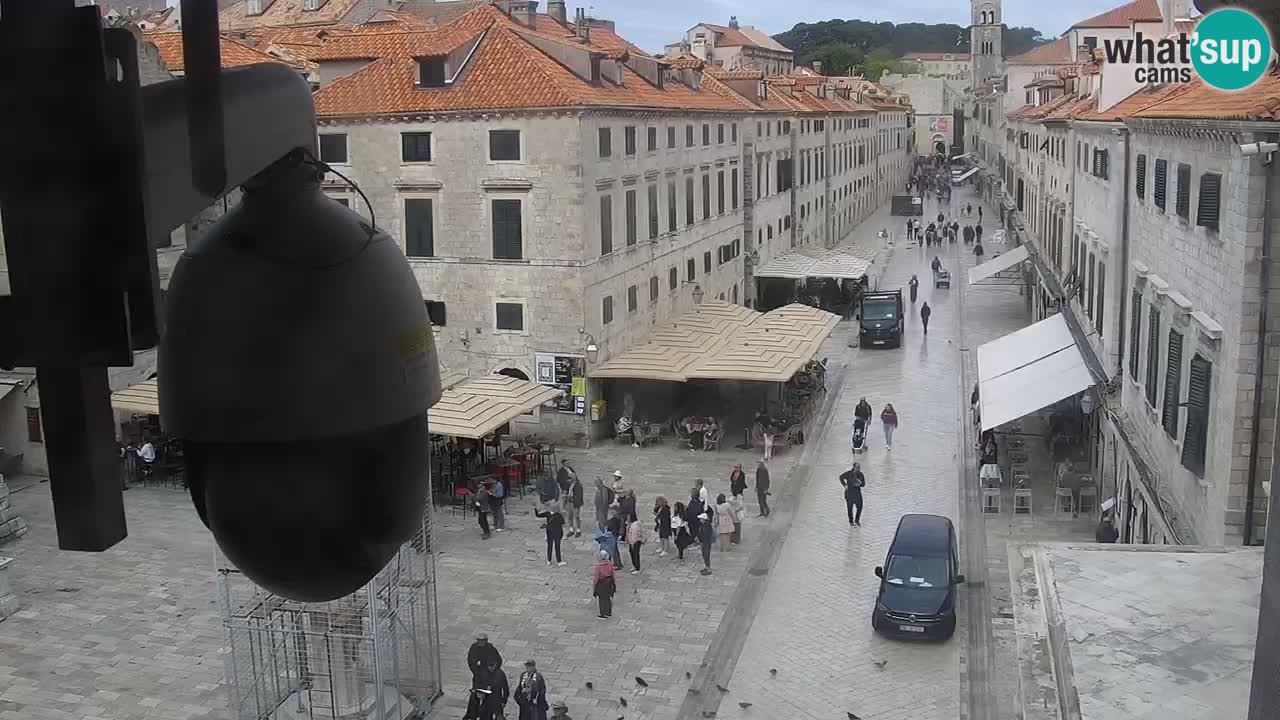 Webcam Ragusa (Dubrovnik) Stradun