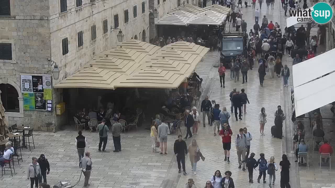 Live Webcam Dubrovnik Stradun