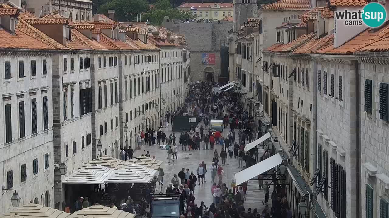 Webcam Ragusa (Dubrovnik) Stradun