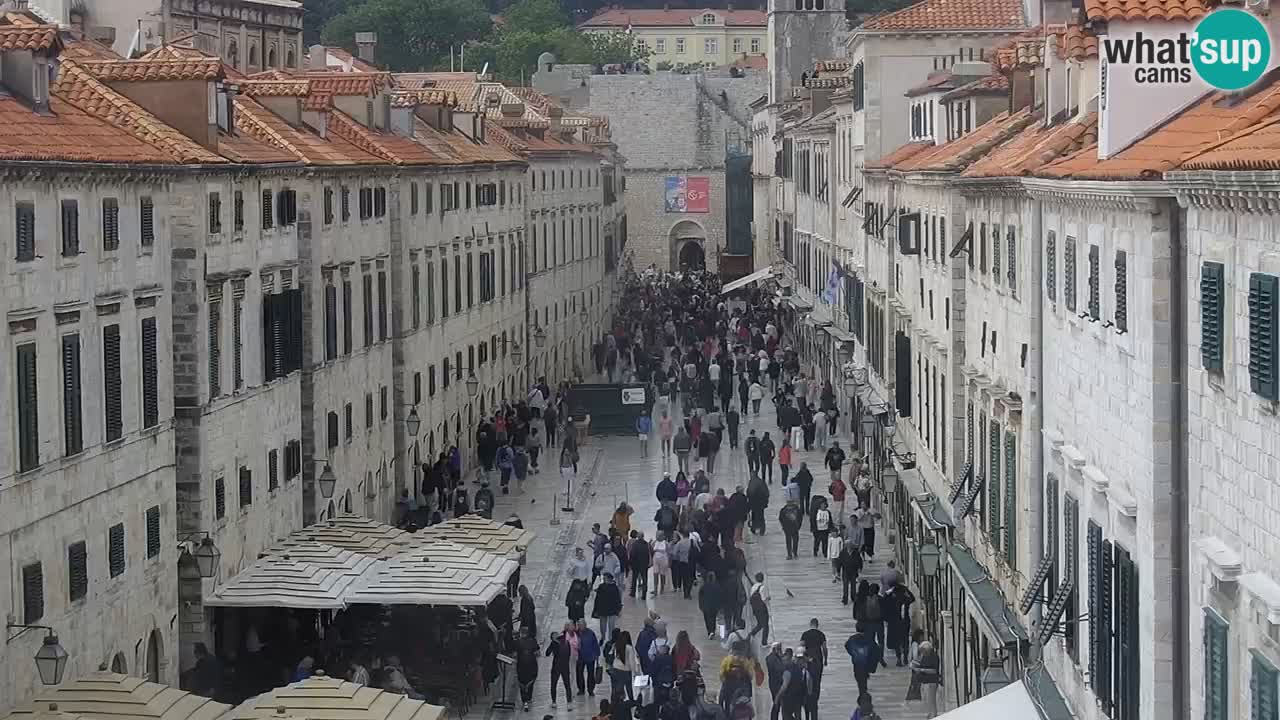 Live Webcam Dubrovnik Stradun