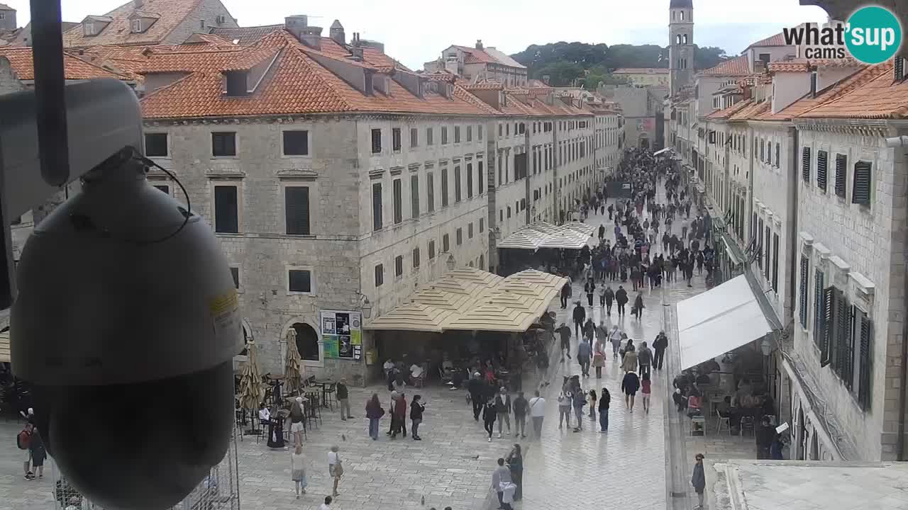 Webcam Ragusa (Dubrovnik) Stradun
