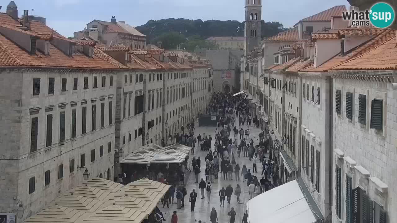 Livecam Dubrovnik Stradun