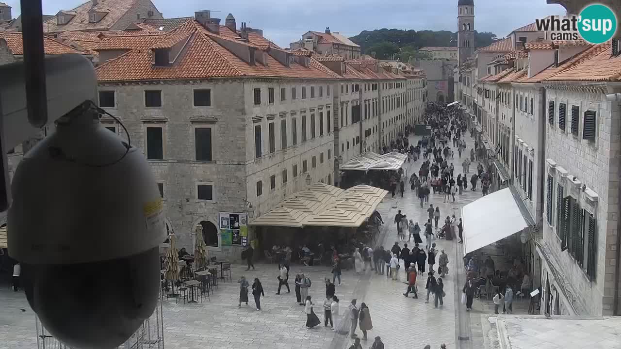 Livecam Dubrovnik Stradun