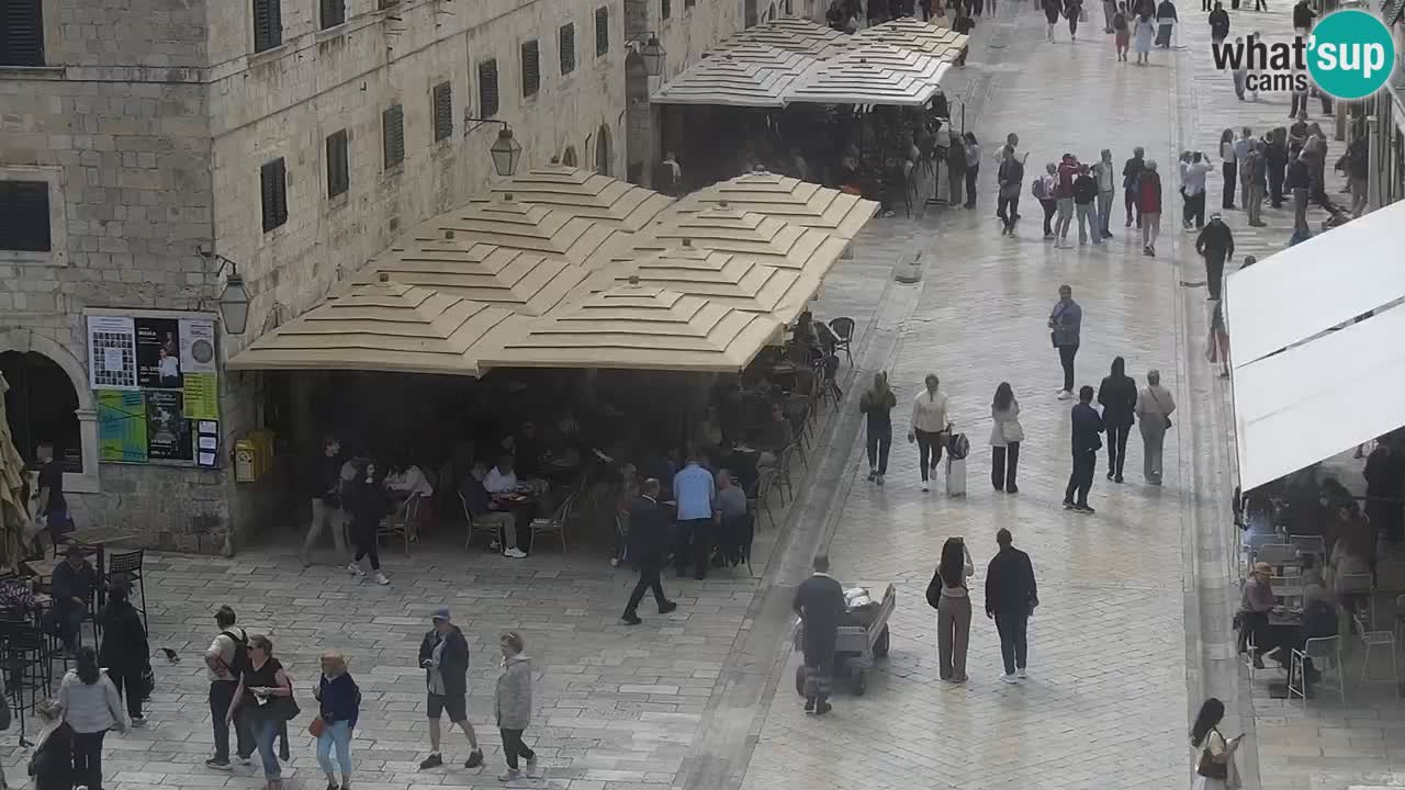 Camera en vivo Dubrovnik Stradun
